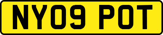 NY09POT