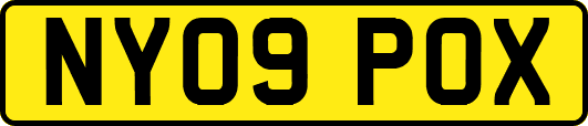 NY09POX