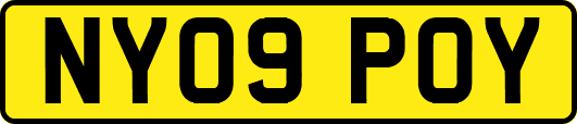 NY09POY