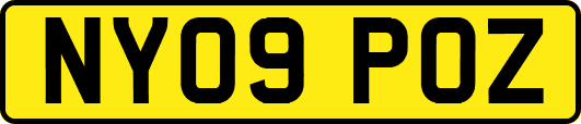 NY09POZ