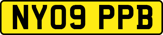 NY09PPB
