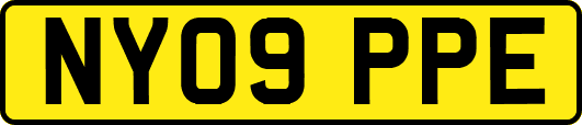 NY09PPE