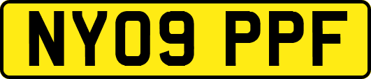 NY09PPF