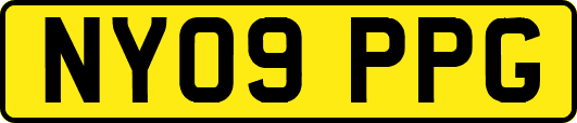 NY09PPG