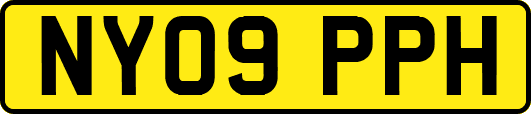 NY09PPH