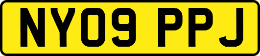 NY09PPJ