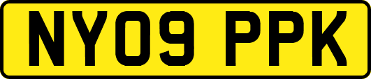 NY09PPK