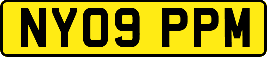 NY09PPM