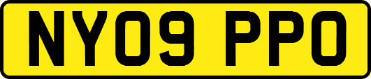 NY09PPO