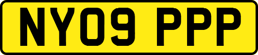 NY09PPP