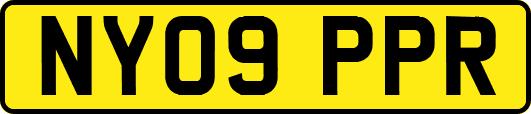 NY09PPR