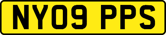 NY09PPS