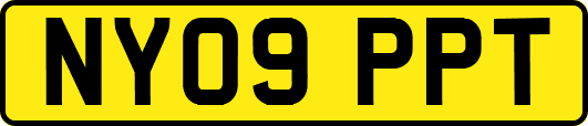 NY09PPT