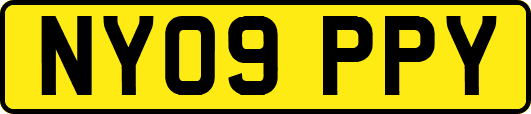 NY09PPY