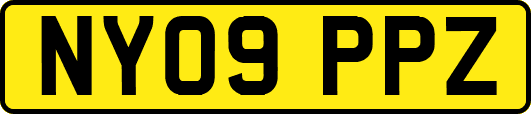 NY09PPZ
