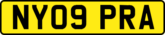 NY09PRA
