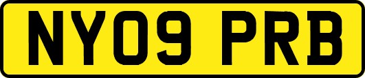 NY09PRB