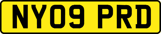 NY09PRD