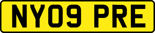 NY09PRE