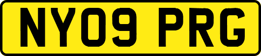NY09PRG