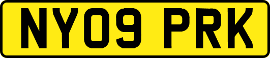 NY09PRK