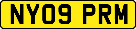 NY09PRM