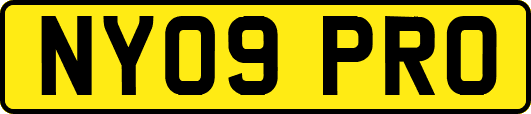 NY09PRO
