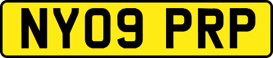 NY09PRP