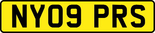 NY09PRS
