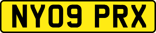 NY09PRX