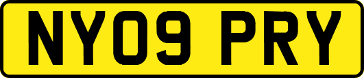 NY09PRY