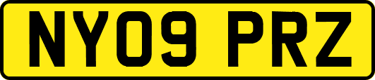 NY09PRZ