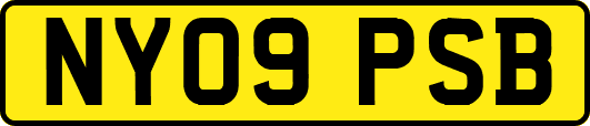 NY09PSB