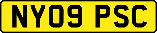 NY09PSC