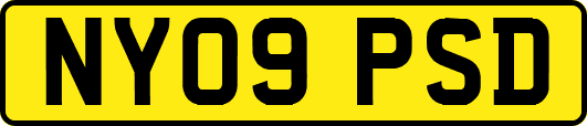 NY09PSD