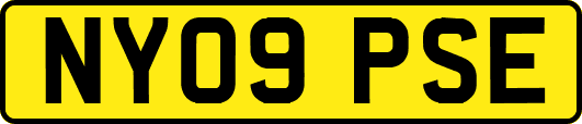 NY09PSE