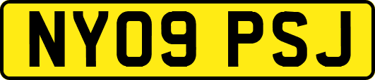 NY09PSJ