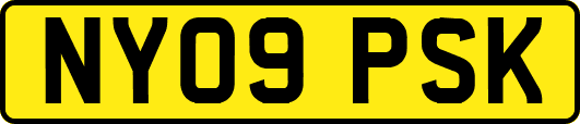 NY09PSK