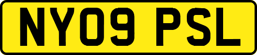 NY09PSL
