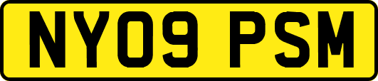 NY09PSM