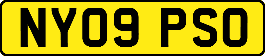 NY09PSO