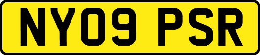 NY09PSR