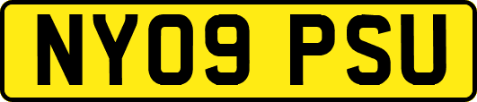 NY09PSU
