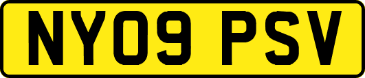 NY09PSV