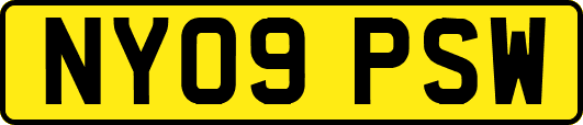 NY09PSW