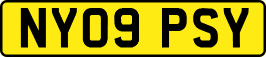 NY09PSY