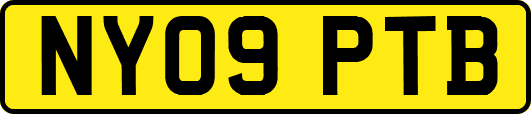 NY09PTB