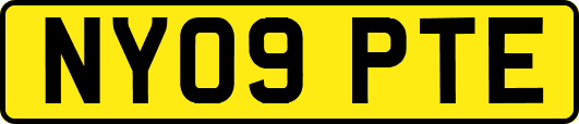 NY09PTE