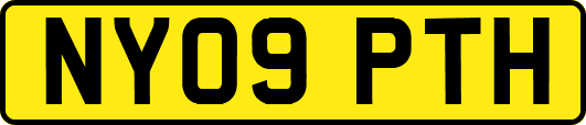 NY09PTH