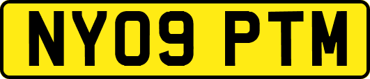 NY09PTM